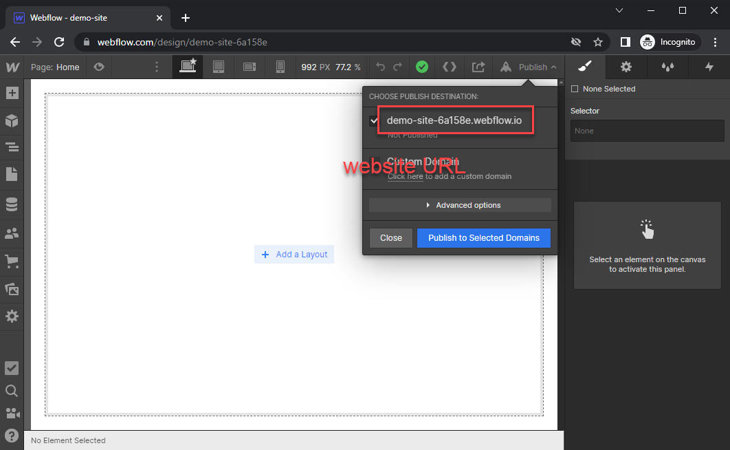 Note the website url - in this case: https://demo-site-6a158e.webflow.io
