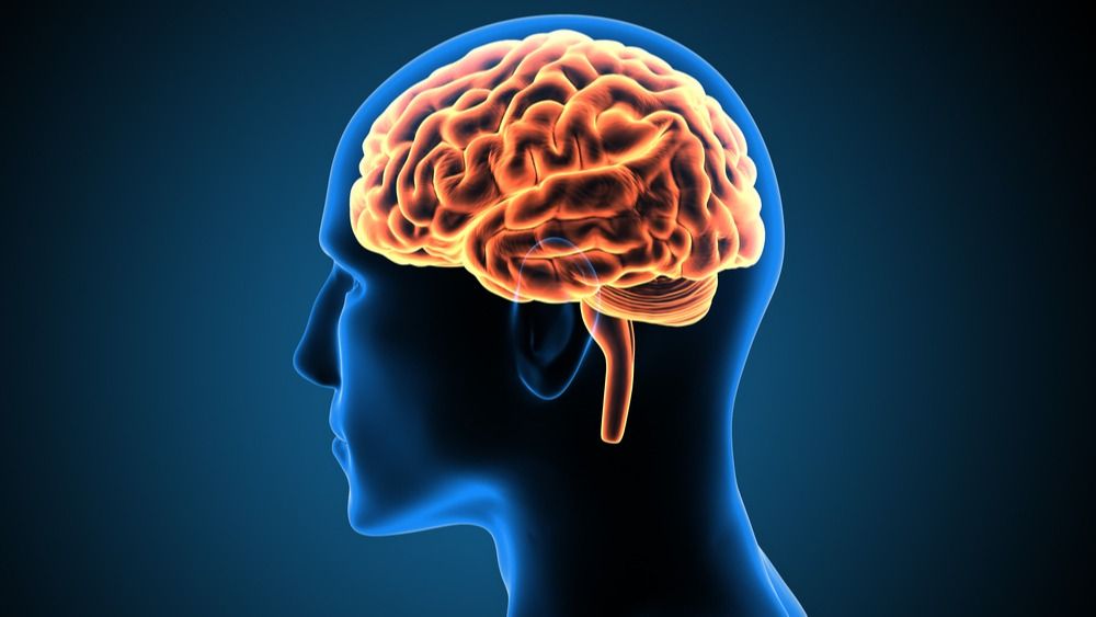 Neural Network is like our brain !!!